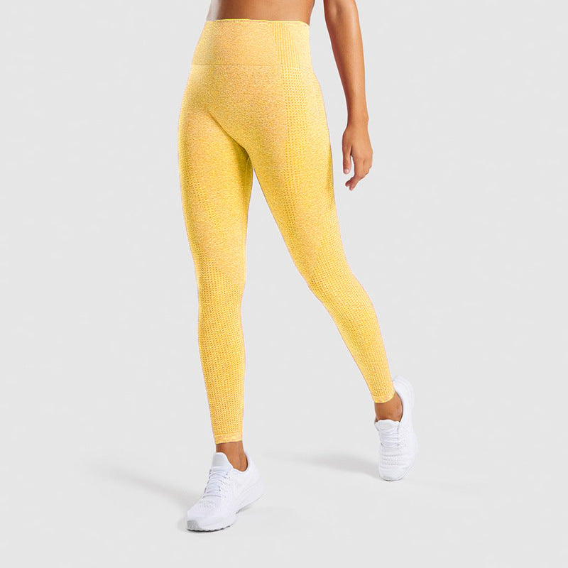 TAVARA — Seamless Jrd Sculpting Gym Leggings with Sharp Detail