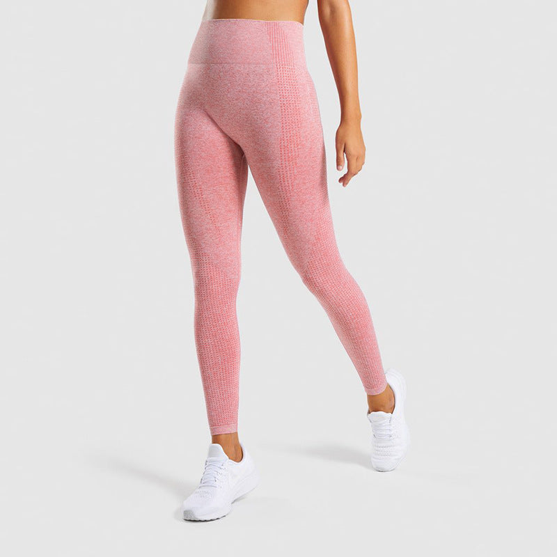 TAVARA — Seamless Jrd Sculpting Gym Leggings with Sharp Detail