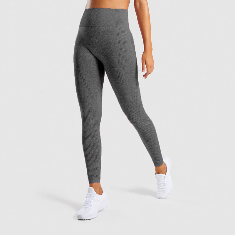 TAVARA — Seamless Jrd Sculpting Gym Leggings with Sharp Detail