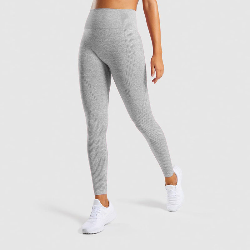 TAVARA — Seamless Jrd Sculpting Gym Leggings with Sharp Detail