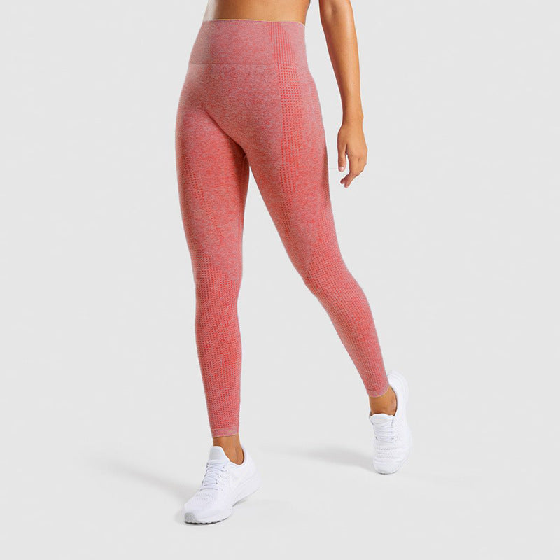 TAVARA — Seamless Jrd Sculpting Gym Leggings with Sharp Detail