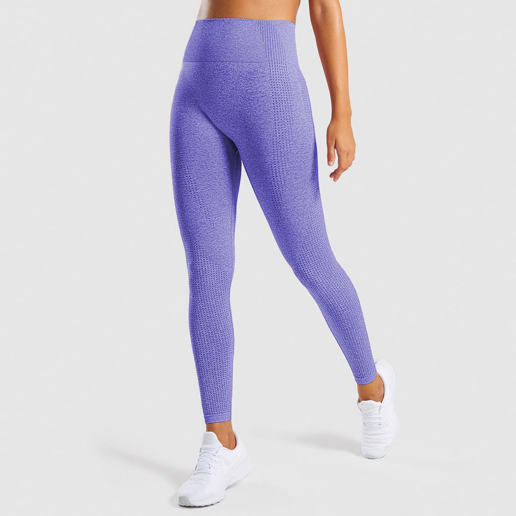 TAVARA — Seamless Jrd Sculpting Gym Leggings with Sharp Detail