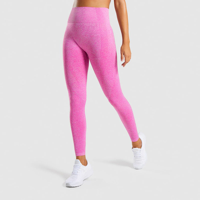 TAVARA — Seamless Jrd Sculpting Gym Leggings with Sharp Detail